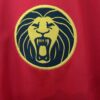 25 26 Cameroon Home Fan Jersey Red - Image 3