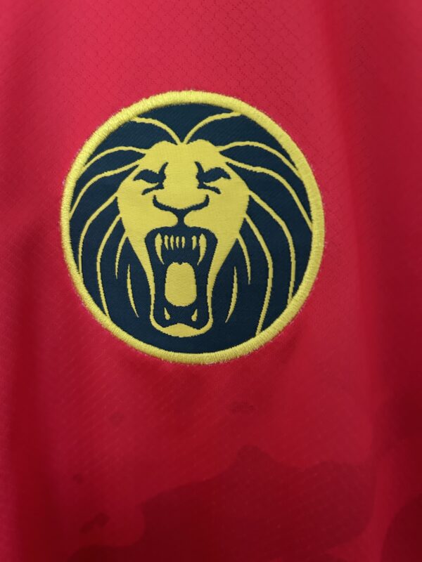 25 26 Cameroon Home Fan Jersey Red - Image 3